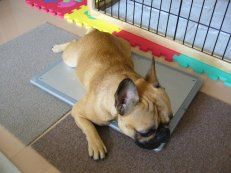 クーラーボード