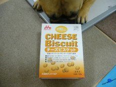 チーズビスケット