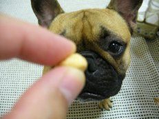 チーズビスケット