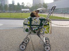 わんわんバギー