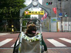 わんわんバギー