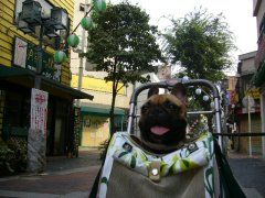 わんわんバギー