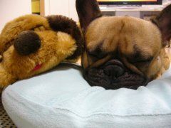 馴染めないです