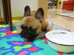 おふるのうつわ