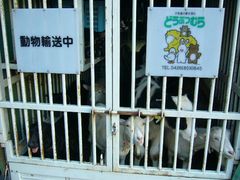 ふれあい動物園