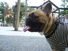 ぶり返していない?