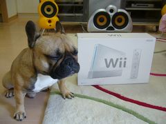 Wii