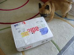 お肉とワン太郎１