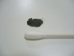 ワン太郎の鼻の皮