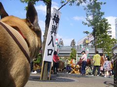 神輿入口前のワン太郎