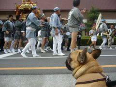 お神輿をお出迎え