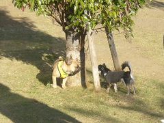 お見合いのお見合い