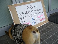 お知らせとお尻