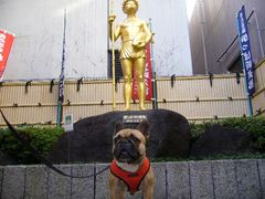 かっぱ河太郎像前のワン太郎１