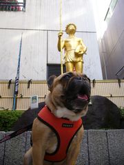 かっぱ河太郎像前のワン太郎１