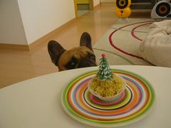 ケーキとワン太郎