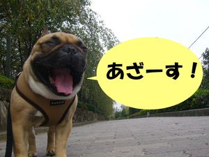 今年は大変お世話になりました