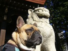 狛犬とワン太郎
