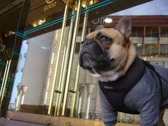 デパート前のワン太郎