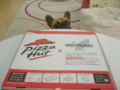 ピザハットとワン太郎