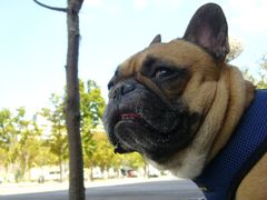 今日はいい天気