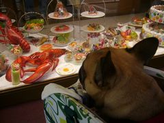 サンプルを見るワン太郎