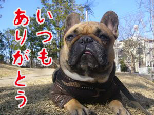 いつもありがとう