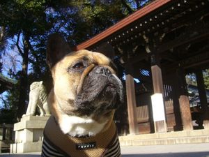 神社前のワン太郎