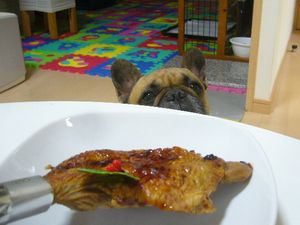 じっと見るワン太郎