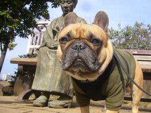 おばあちゃんとワン太郎