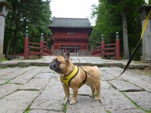 岩木山神社 参道