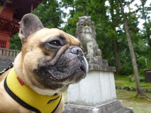 岩木山神社 狛犬そば