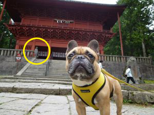 岩木山神社 楼門前