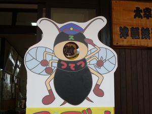 スズムシ駅長になったワン太郎1