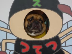 スズムシ駅長になったワン太郎2