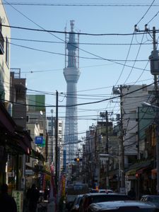 合羽橋からのスカイツリー