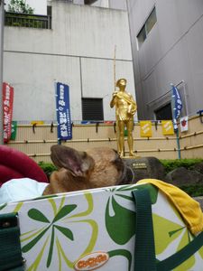 かっぱ前のワン太郎