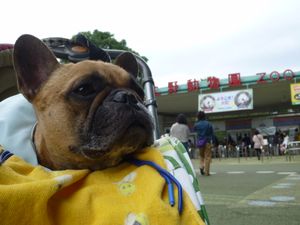 上野動物園前のワン太郎