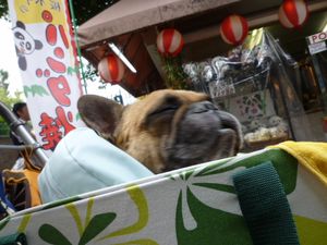 パンダ焼きとワン太郎