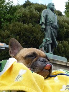 西郷隆盛像とワン太郎