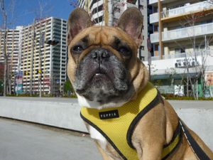 今年も大変お世話になりました