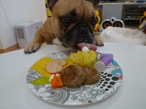 ワン太郎の誕生日２